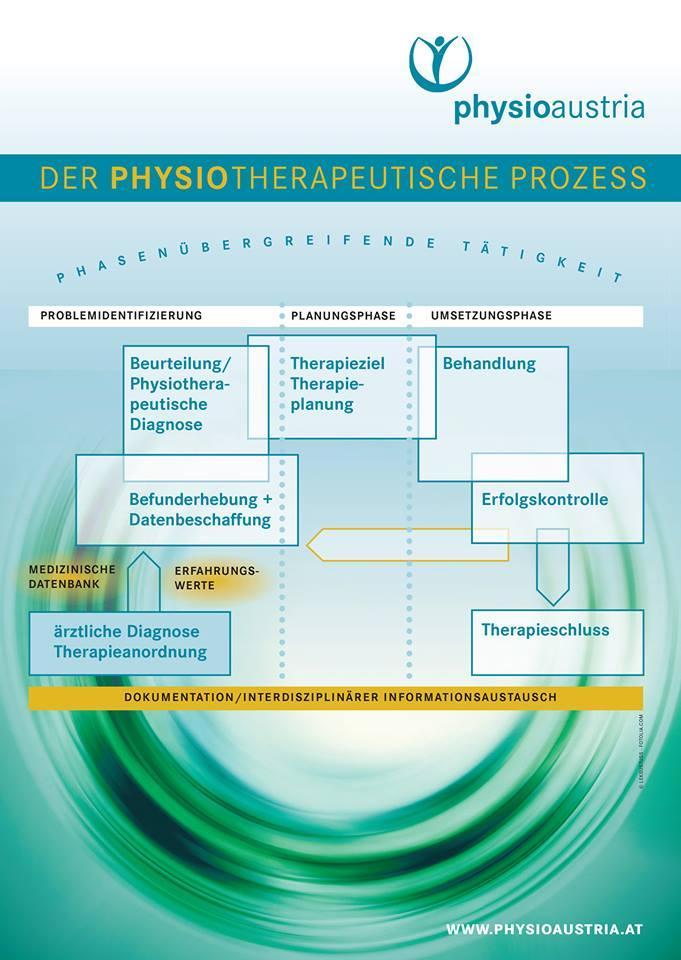 Der physiotherapeutische Prozess (derzeit nur digital erhältlich)