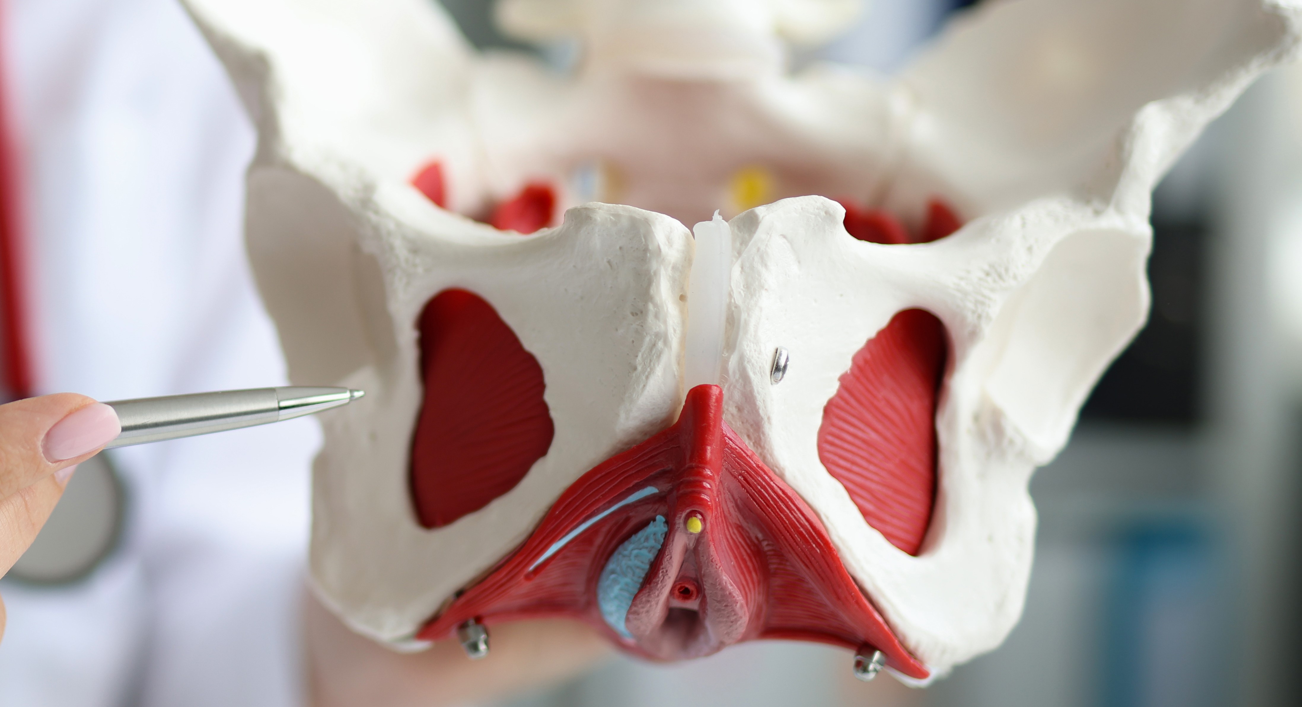 Beckenboden - Das unsichtbare innere Gerüst