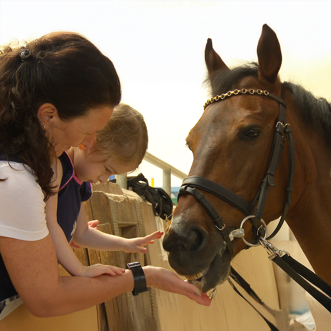 Begrüßung Hippotherapie Physiotherapie