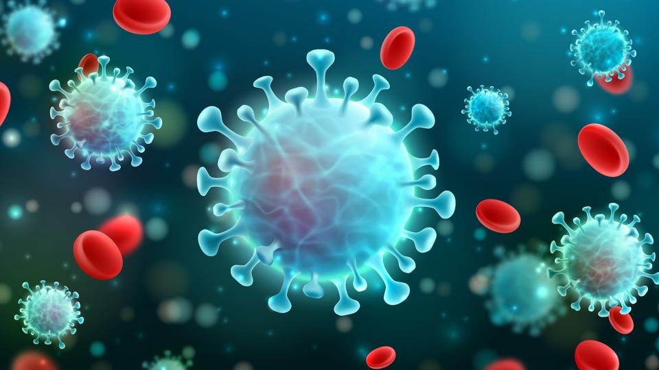 Das Corona-Virus unter dem Mikroskop