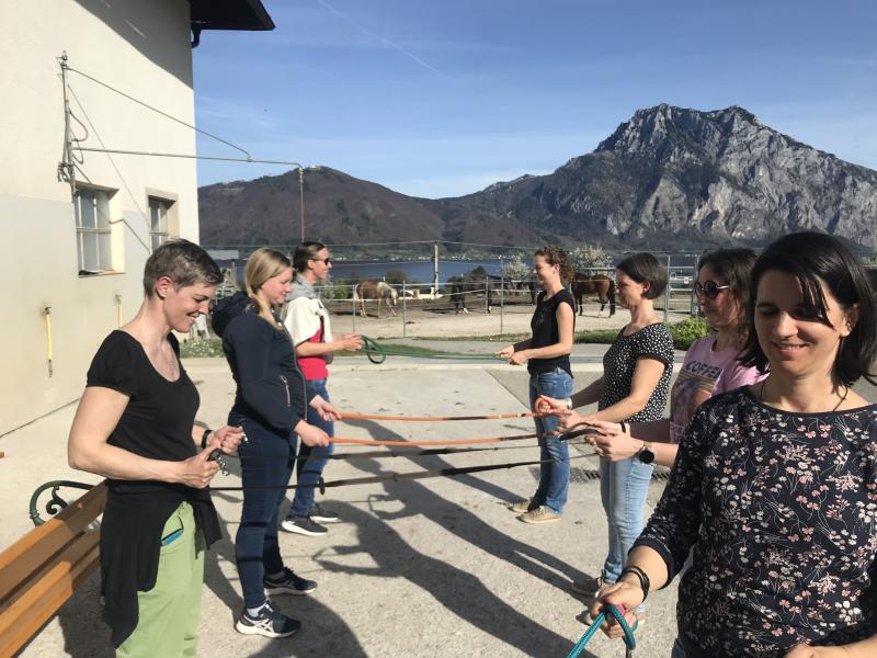 Hippokurs 2024  - Physio Austria Fachliches Netzwerk Hippotherapie