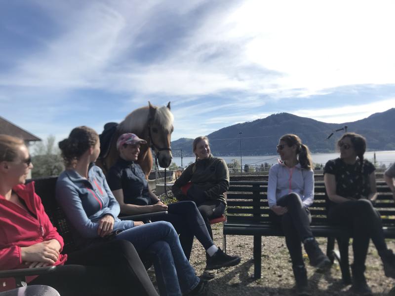Hippokurs 2024  - Physio Austria Fachliches Netzwerk Hippotherapie