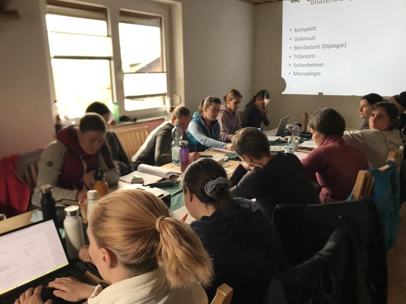 Hippokurs 2024  - Physio Austria Fachliches Netzwerk Hippotherapie