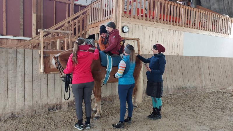 Hippokurs 2024  - Physio Austria Fachliches Netzwerk Hippotherapie