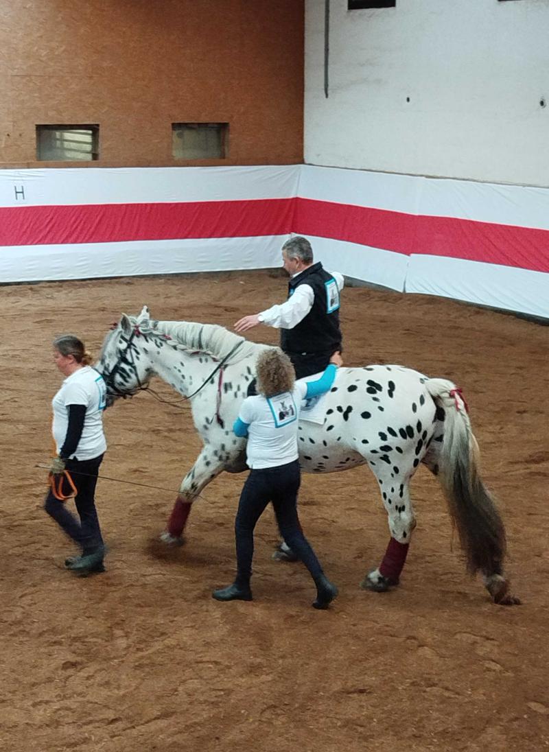 Hippotherapie in der Praxis