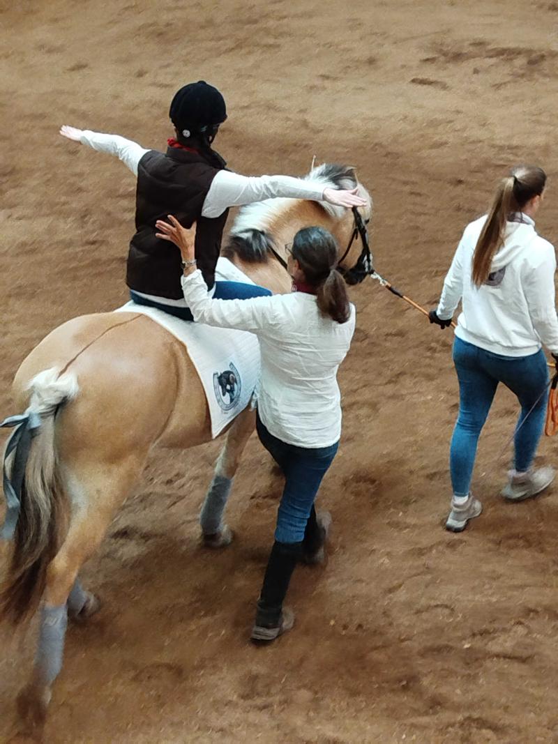 Hippotherapie in der Praxis