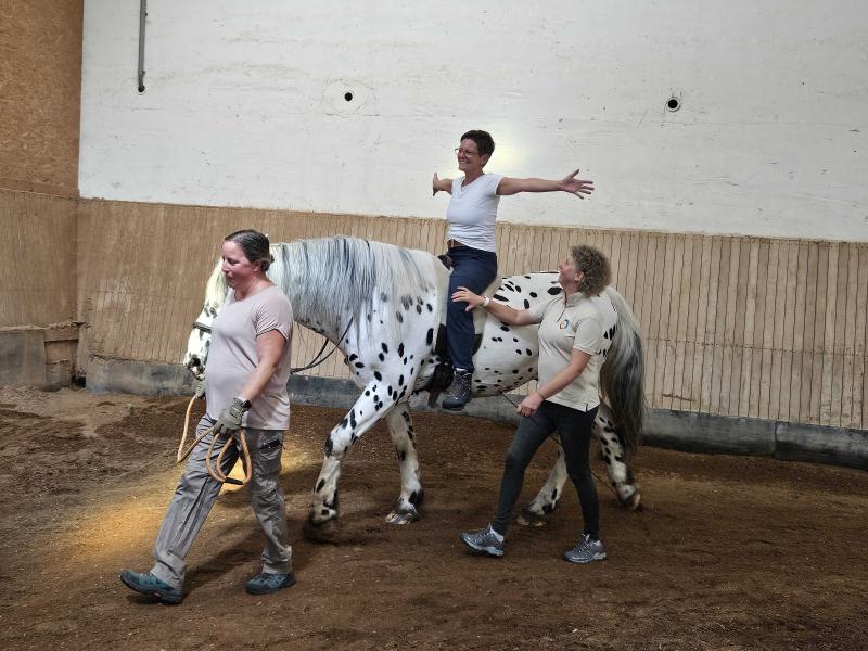 Hippotherapie in der Praxis